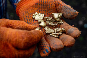 Haende in Handschuhen mit Goldnuggets. Bildquelle: TSViPhoto -stock.adobe.com