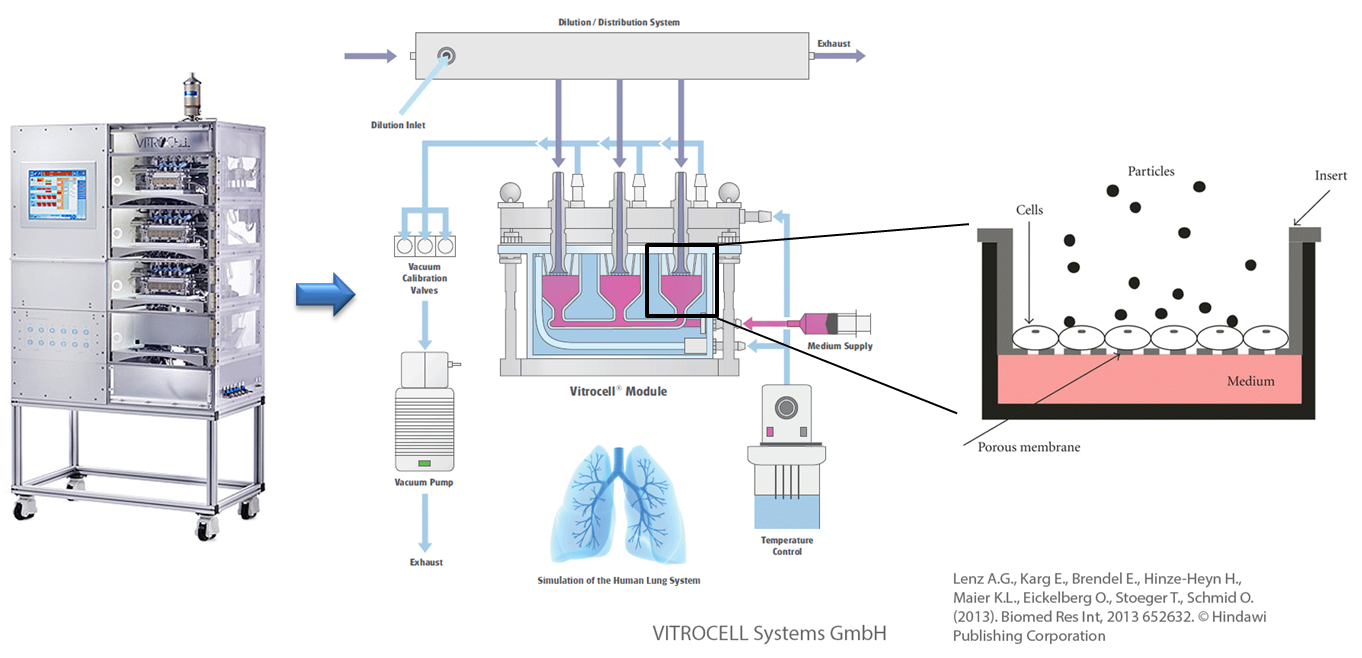 In vitro Exposition an der Luft-Flüssigkeits-Grenzschicht (ALI) am Beispiel des Karlsruhe Expositionssystems. © Vitrocell Systems GmbH & © Lenz et al (2013) Biomed Res Int, 2013 652632.