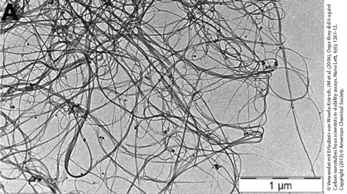 TEM-Aufnahme von Kohlenstoff-Nanoröhrchen (CNTs). 