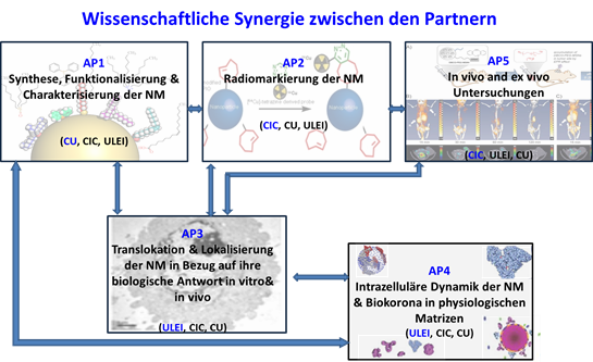 FateNano ProjektPlan