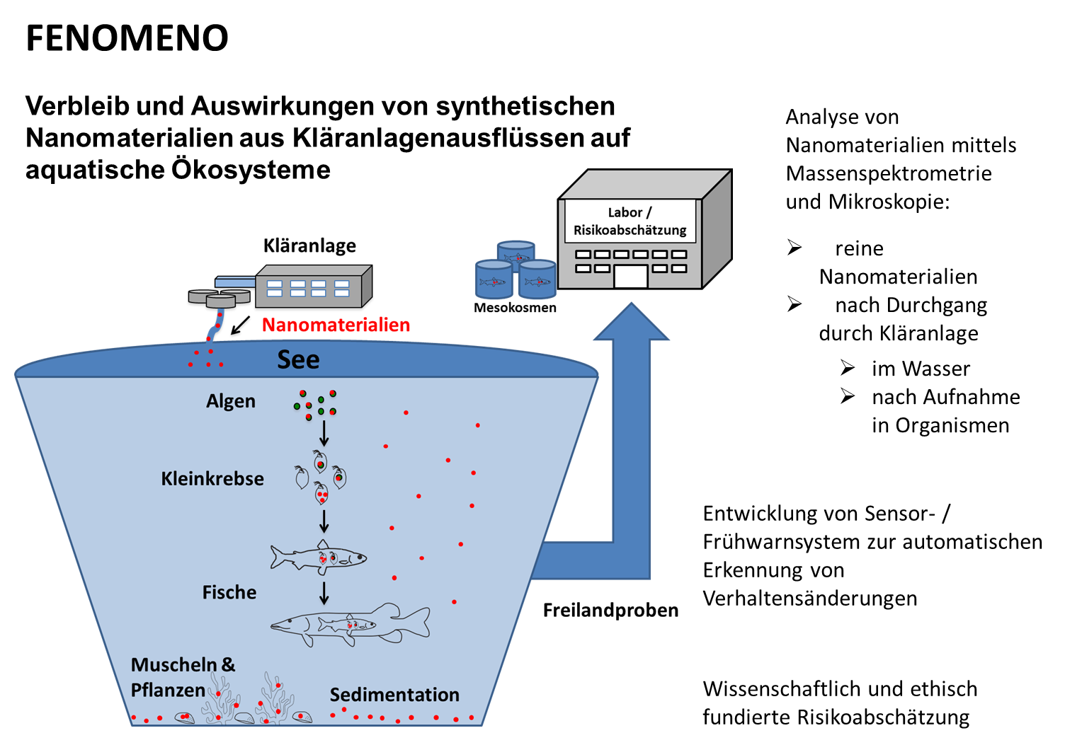 FENOMENO Projekt Übersicht 