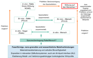 Diese Abbildung beschreibt den Arbeitsplan des Projekts MetalSafety zur Toxizität von faserförmigen und nano-granulären Metallverbindungen