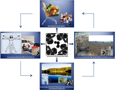 NanoUmwelt Projektplan