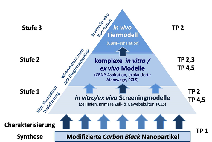 Schema des mehrstufigen Prüfverfahrens mit zugeordneten Teilprojekten (TP 1-5).