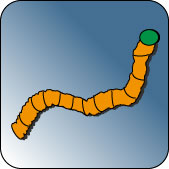 Wurm Icon (c) DaNa Team