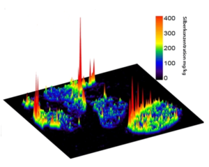 Dreidimensionale Abbildung, welche die lokale Verteilung von Silber in Lymphknoten darstellt