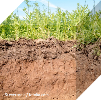 Cross-section of different soil layers ©eyetronic / fotolia.com