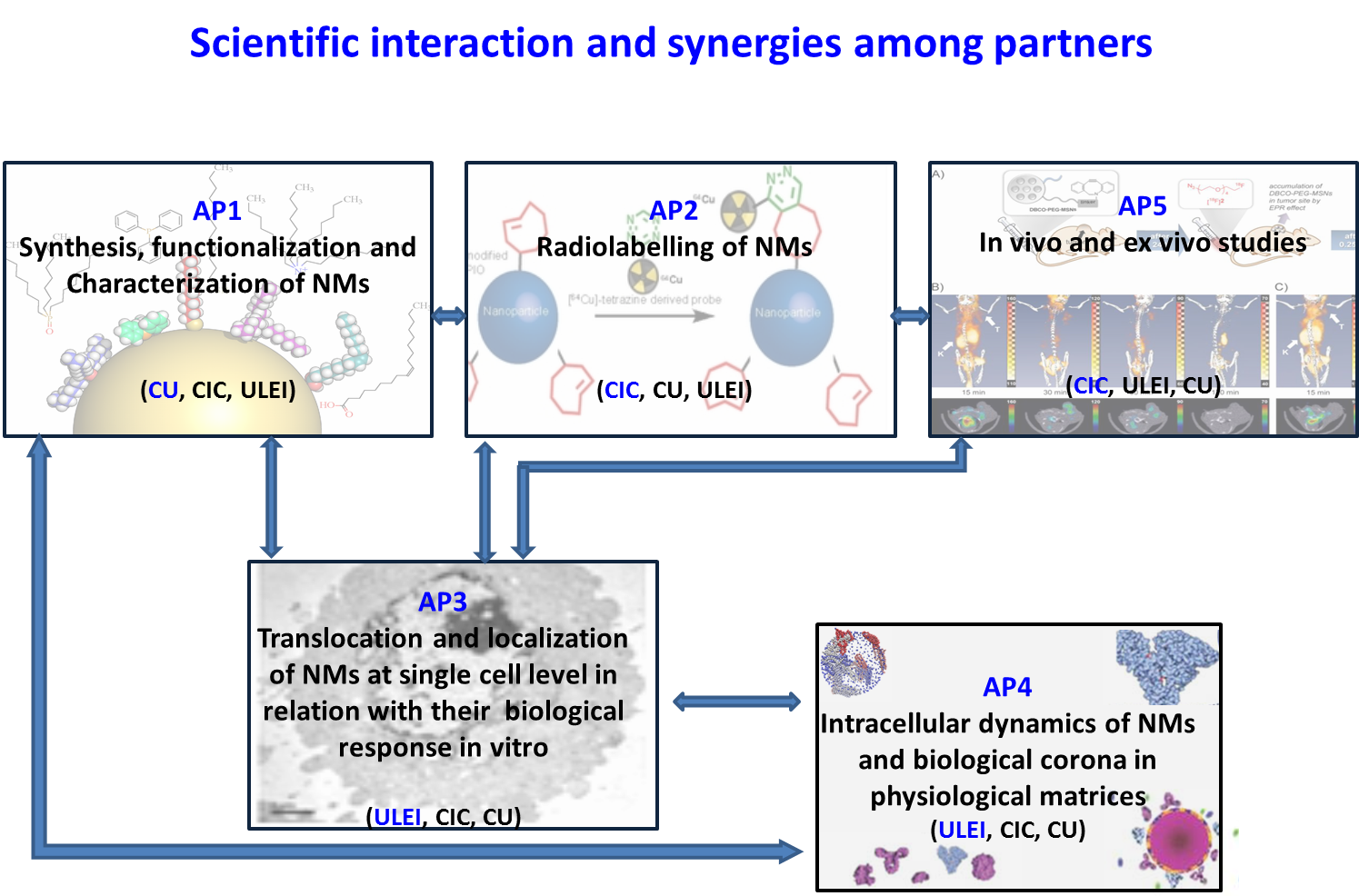 FateNano Project Plan English