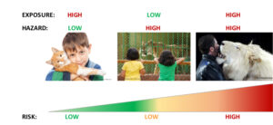 Different stages of risk scenario (Source from left to right: © dtvphoto/fotolia.com; dijital_kalem/fotolia.com; Zirkus Krone)