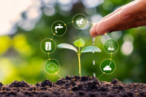 Hand tropft Wasser auf kleine Pflanze. Symbolen. Bildquelle: Arthon -stock.adobe.com