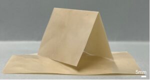 „Papier aus dem Labor“ - Im Labor gezüchtete bakterielle Cellulose als innovatives Basismaterial für nachhaltige Leiterplatten. ©Zaklina Burghard