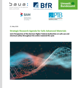 schreenshot publication Strategic Research Agenda for Safe Advanced Materials